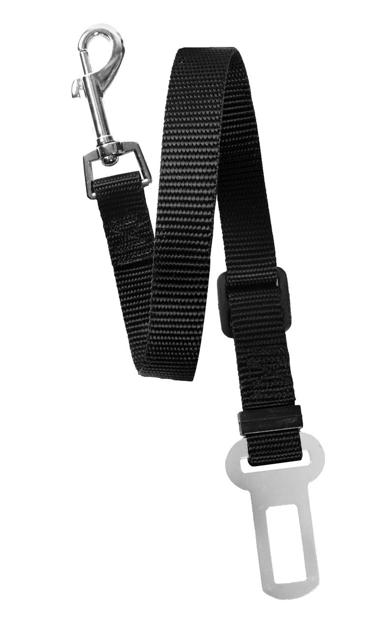 Sicherheitsgurt Car Safty Belt 30cm (smal)